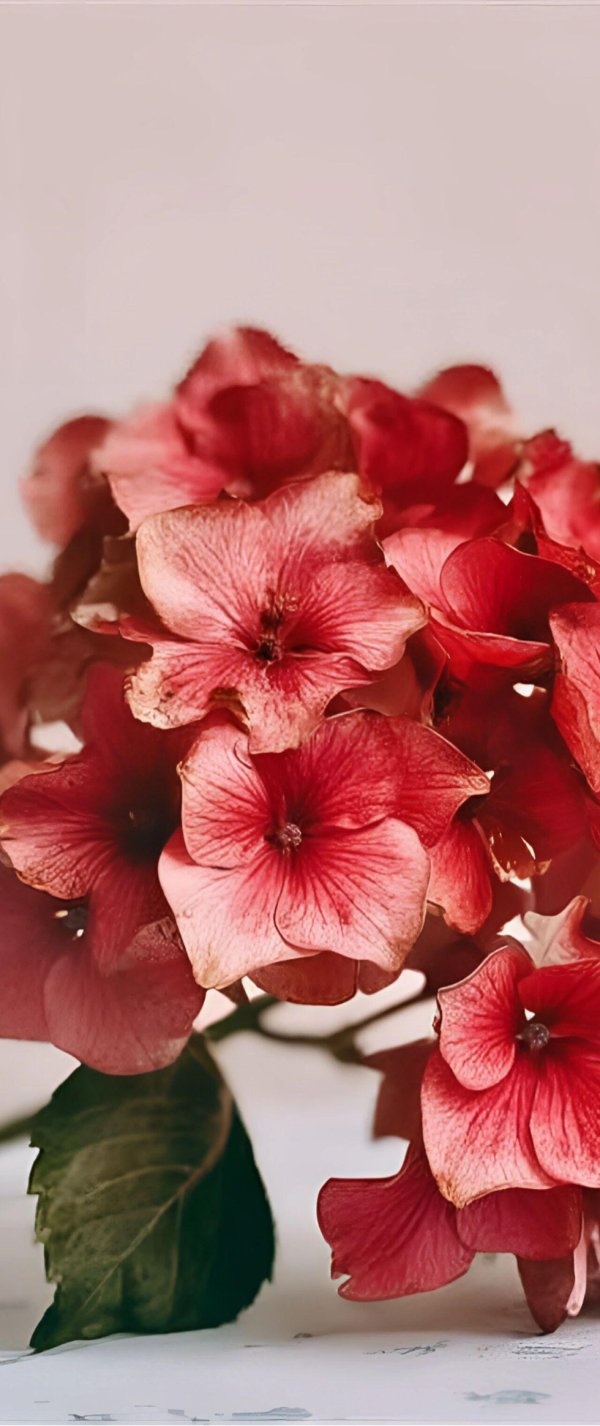 正规实盘配资 “句句不提释怀，句句释怀”