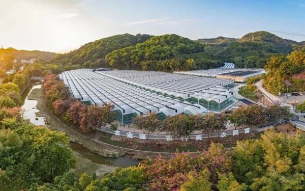 河南配资公司 启动征稿！镜头对准白云，最高奖金5000元